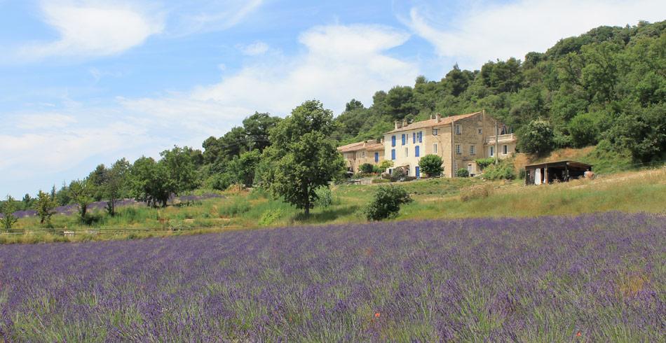 Domaine De Bertrandy Bed & Breakfast Алман ан Прованс Екстериор снимка